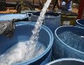 La propuesta del CICEJ incluye aprovechar agua tratada para usos industriales y urbanos, captar agua de lluvia y recuperar cuerpos de agua. EFE/ARCHIVO