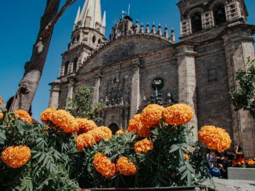 Las flores de cempasúchil llegaron a las plazas de las Ranitas, a la Guadalajara, al Palacio Municipal, de la Liberación y a la Brasil. ESPECIAL / Ayuntamiento de Guadalajara
