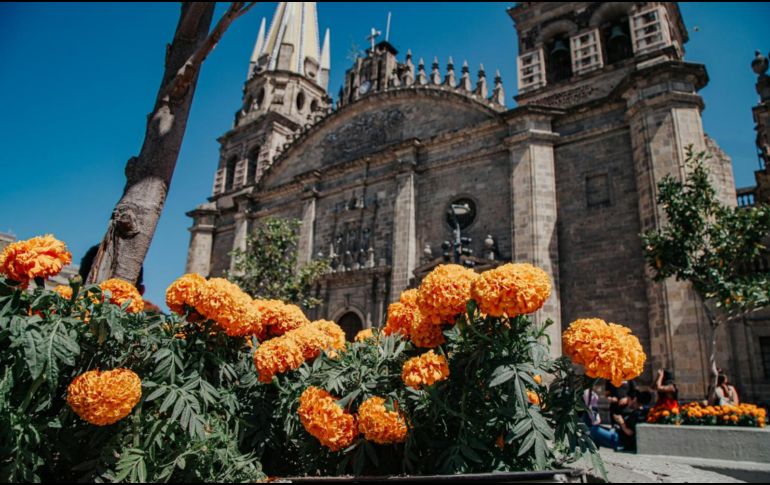 Las flores de cempasúchil llegaron a las plazas de las Ranitas, a la Guadalajara, el Palacio Municipal, de la Liberación y la Brasil. ESPECIAL / Ayuntamiento de Guadalajara
