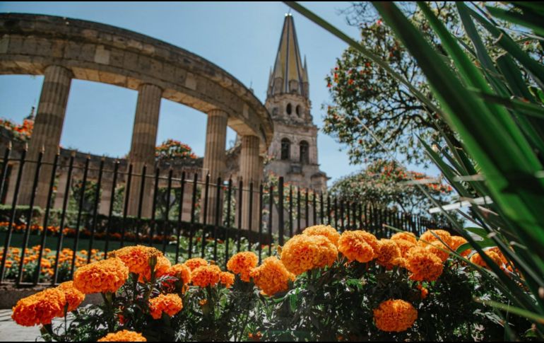 Las flores de cempasúchil llegaron a Guadalajara. ESPECIAL / Ayuntamiento de Guadalajara
