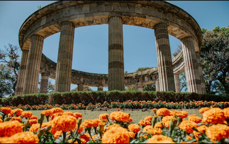 Las flores de cempasúchil llegaron a Guadalajara. ESPECIAL / Ayuntamiento de Guadalajara