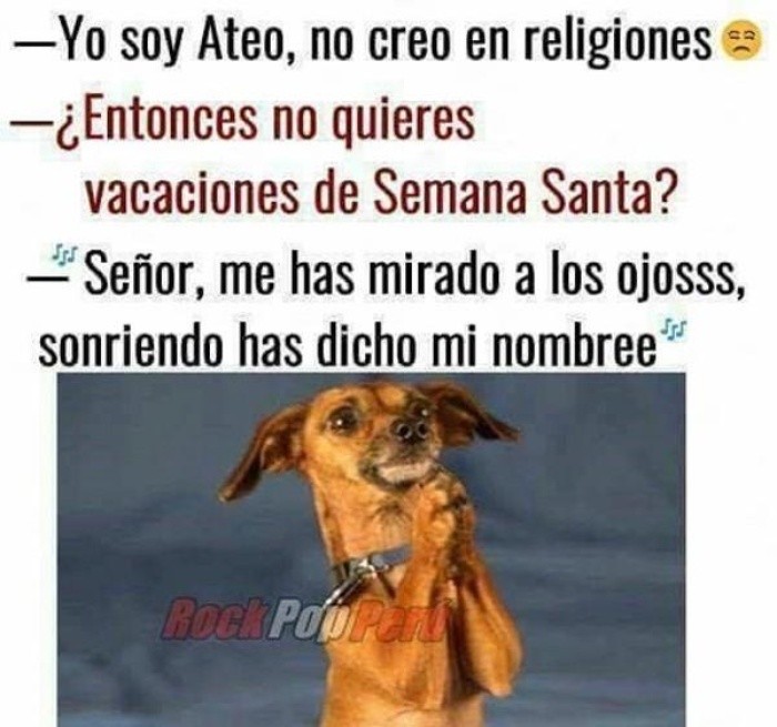 ESPECIAL / INTERNET&nbsp;&nbsp;