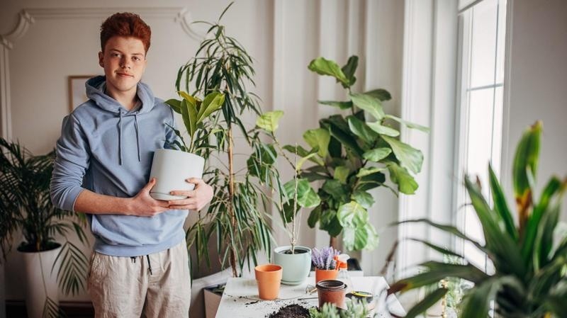 Las plantas nos dan una sensación de bienestar. GETTY IMAGES