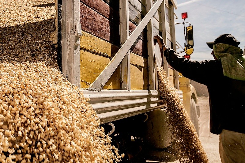 Una de las principales actividades económicas receptoras de IED fueron la molienda de granos. GOBIERNO DE JALISCO 