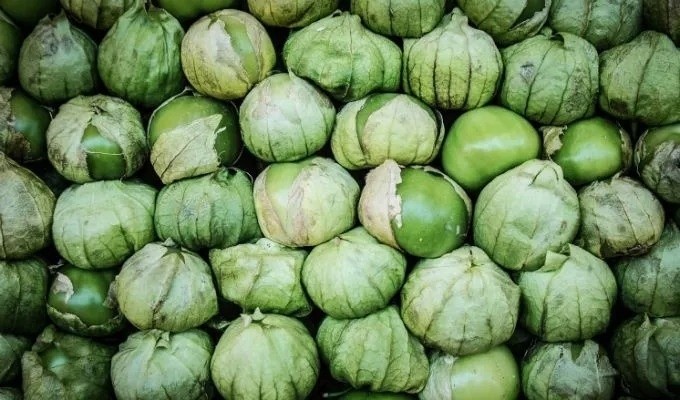 Las flores son de una sola pétalo. GOBIERNO DE MÉXICO