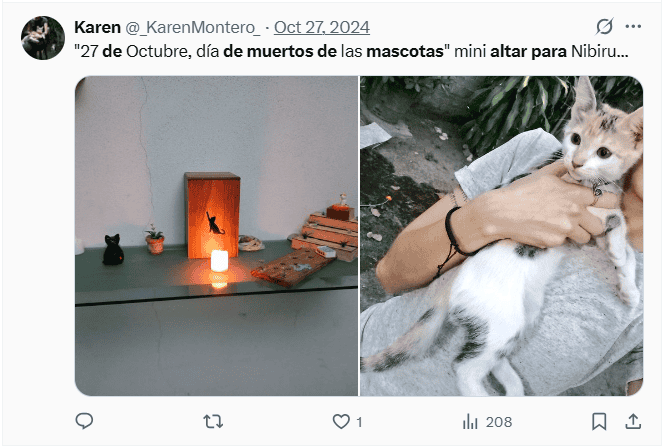 &nbsp;Ofrendas para las mascotas fallecidas previo al Día de Muertos. X / @_KarenMontero_