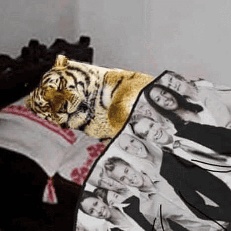 ESPECIAL / INTERNET&nbsp;&nbsp;