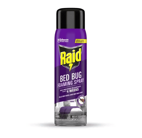 &nbsp;Raid
