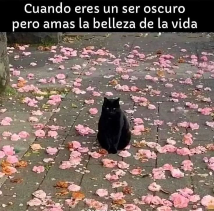 ESPECIAL / INTERNET&nbsp;&nbsp;