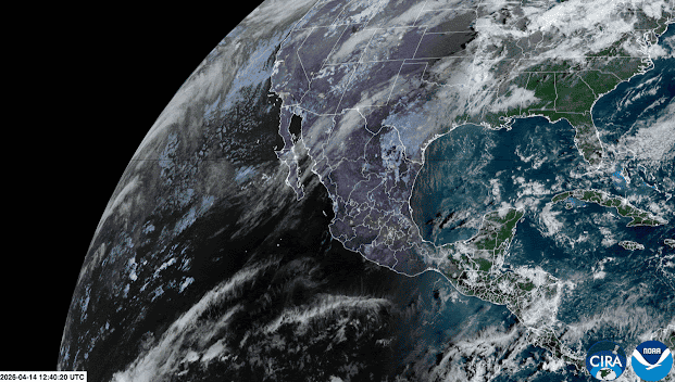 ESPECIAL / IAM&nbsp;