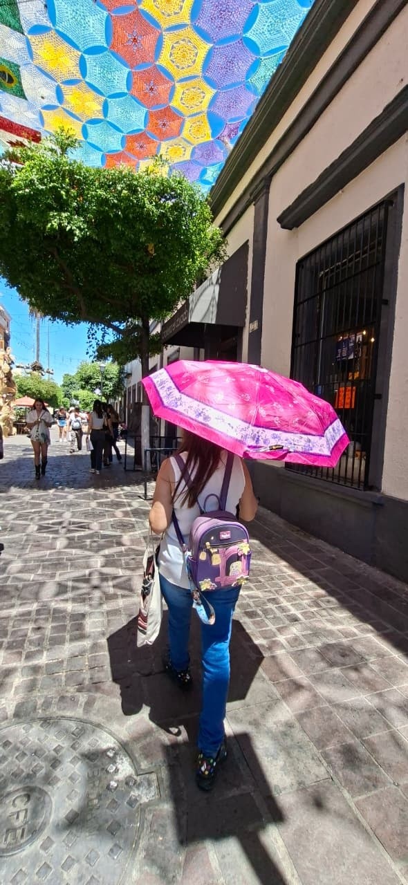 Es importante prestar atención en especial a los grupos más vulnerables, como niñas, niños y personas adultas mayores. ESPECIAL / TLAQUEPAQUE&nbsp;
